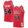 Delizioso Cool Elegante Horace Grant Chicago Bulls 1990/91 Throwback Dark Swingman Jersey Red per i Fan Veri