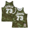 Elegante Carino Eccezionale Dennis Rodman Los Angeles Lakers Hardwood Classics 1998/99 Ghost Green Swingman Jersey Camo per i Fan Veri