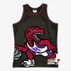 Carino Toronto Raptors Hardwood Classics Blown Out Fashion Jersey Black per i Fan Veri