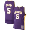 Carino Classico Robert Horry Los Angeles Lakers 1999/00 Hardwood Classics Swingman Jersey Purple per i Fan Veri