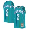 Stupendo Magnifico Ottimo Larry Johnson Charlotte Hornets Youth 1992/93 Hardwood Classics Swingman Jersey Teal per i Fan Veri